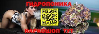 скорость Лесосибирск
