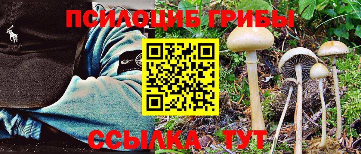 Галлюциногенные грибы Cubensis Дивногорск