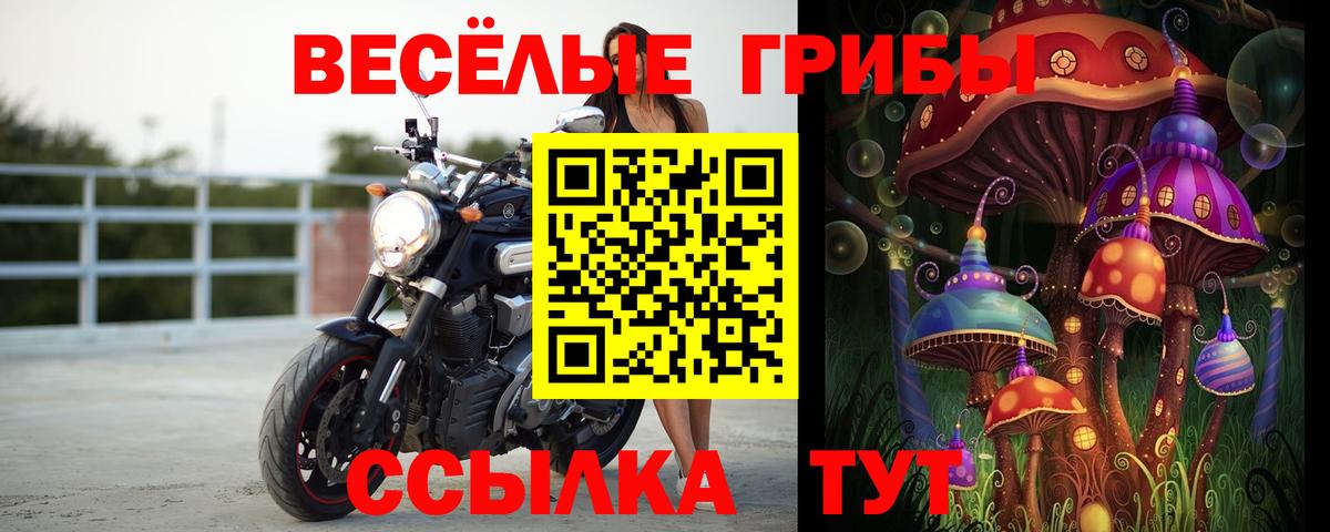 Галлюциногенные грибы прущие грибы  Вход с VPN  Дивногорск 